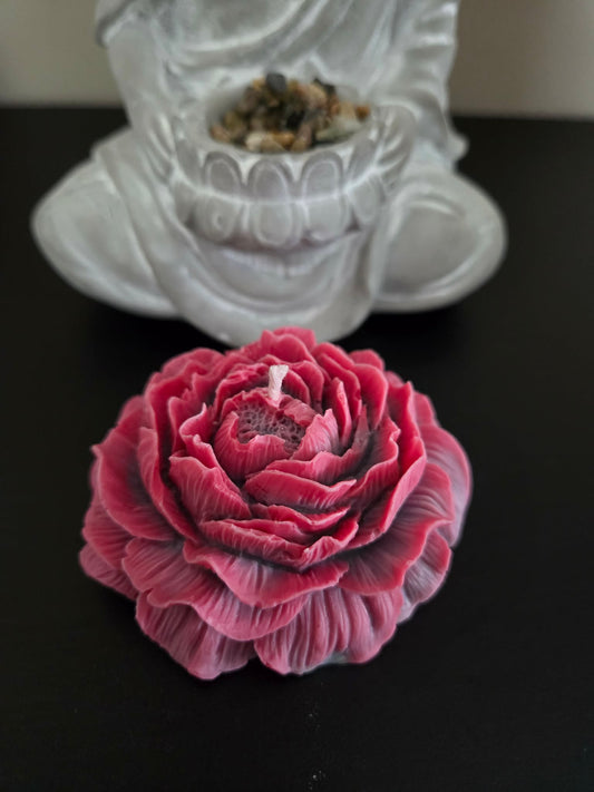 Bougie pivoine Fleur de coton