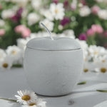Brûleur pomme